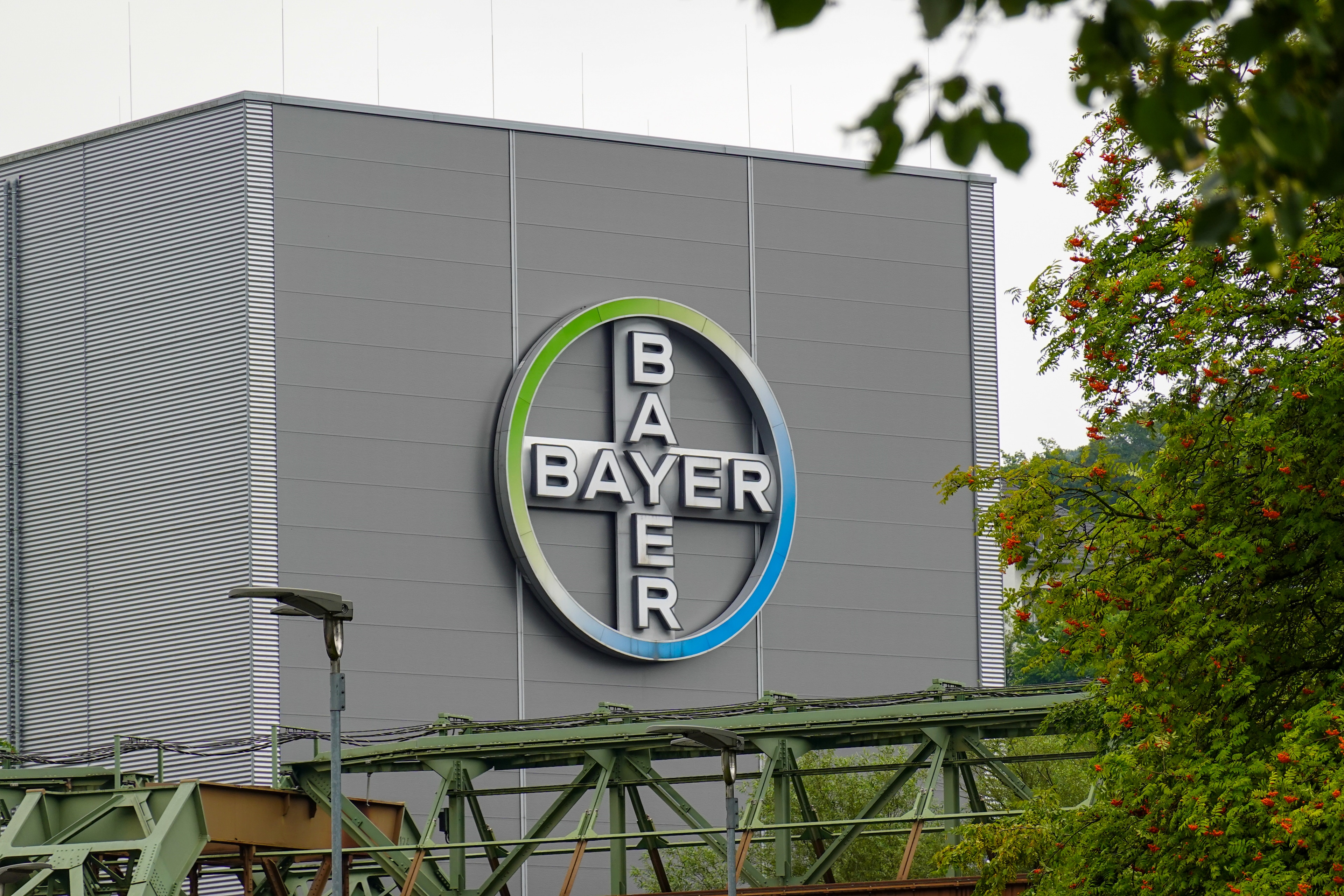 bayer