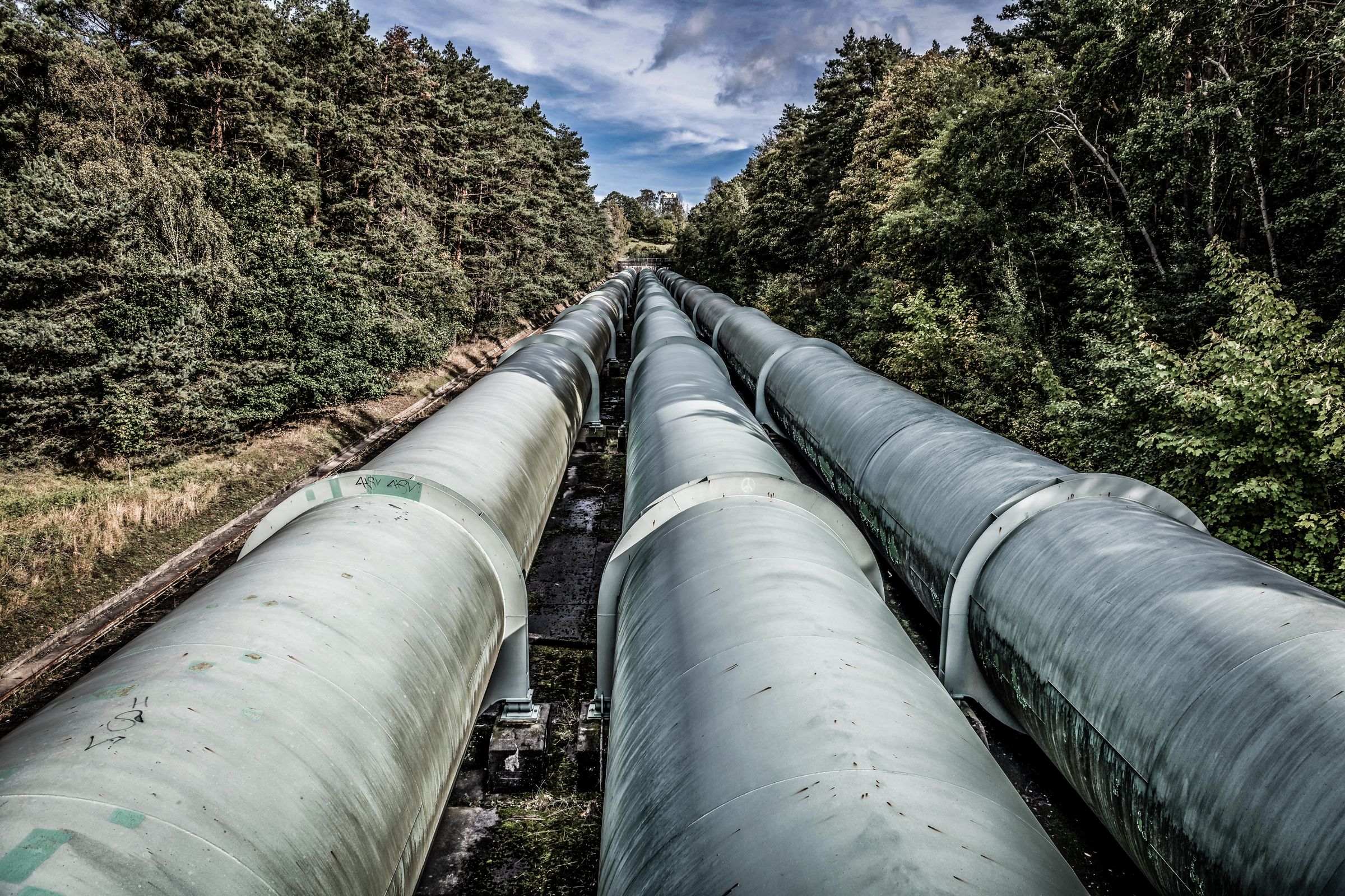 Brent and natural gas await key STEO and OMR reports