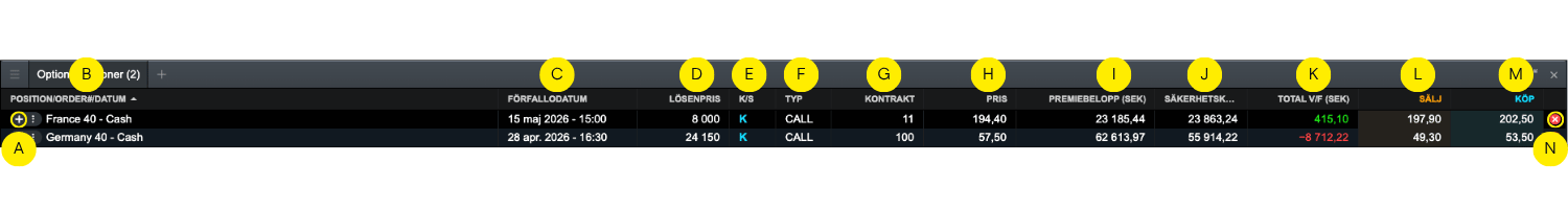 SE Options Visuals (6)