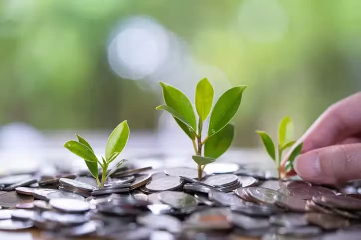 Small-cap-stocks_extra