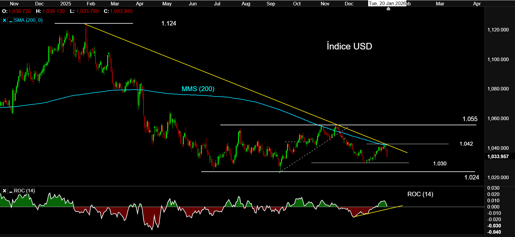 20ENE26 IndiceUSD