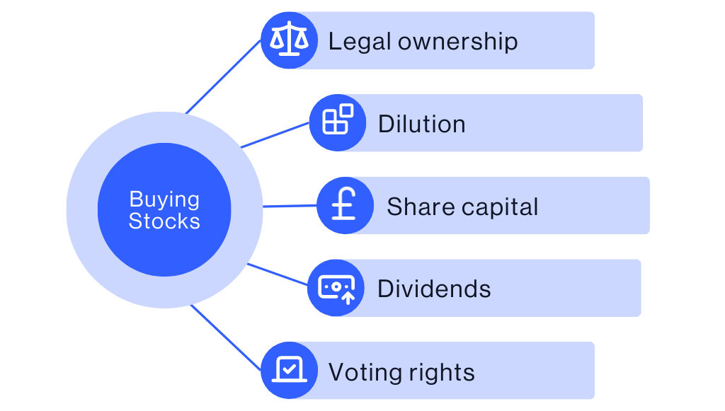 Diagram showing key aspects of buying stocks: legal ownership, dilution, share capital, dividends and voting rights.