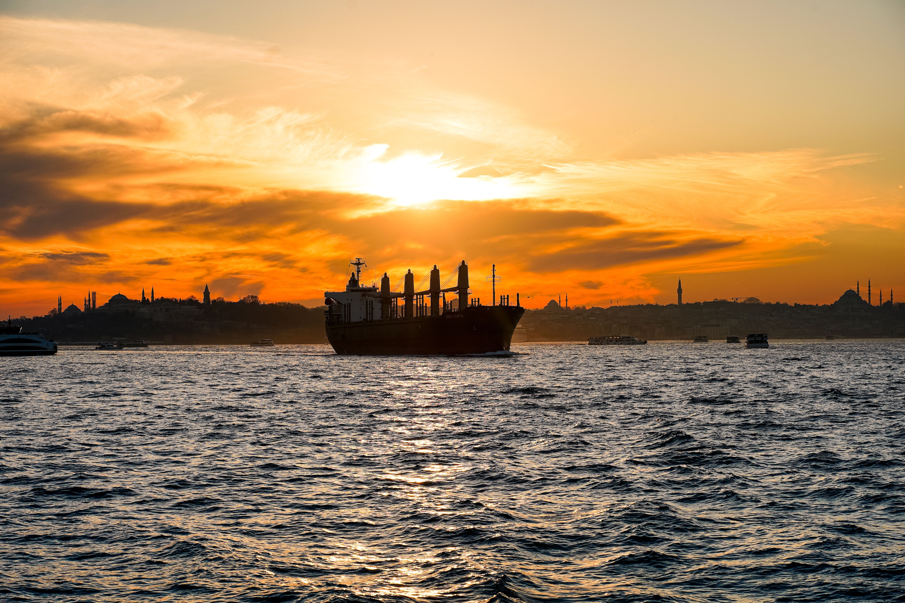 pexels-oktay-koseoglu-42034955-30276672