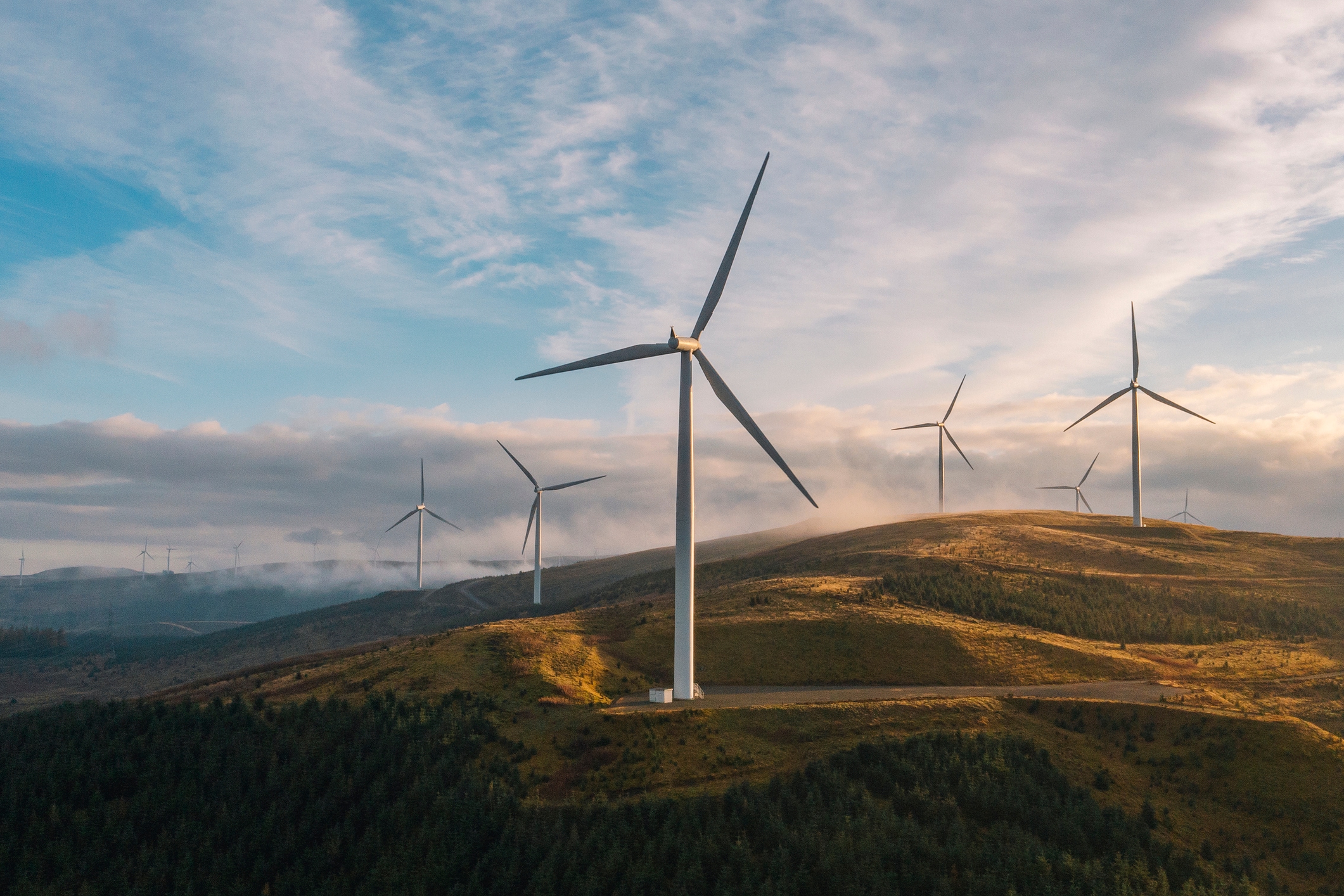 A row of wind turbines is positioned on a hillside, symbolizing sustainable energy production in a natural landscape.